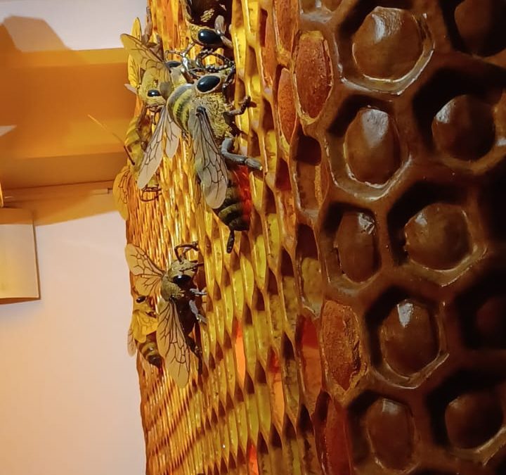 Visita al Museo de la miel en Colmenar